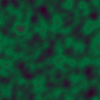 green6.gif